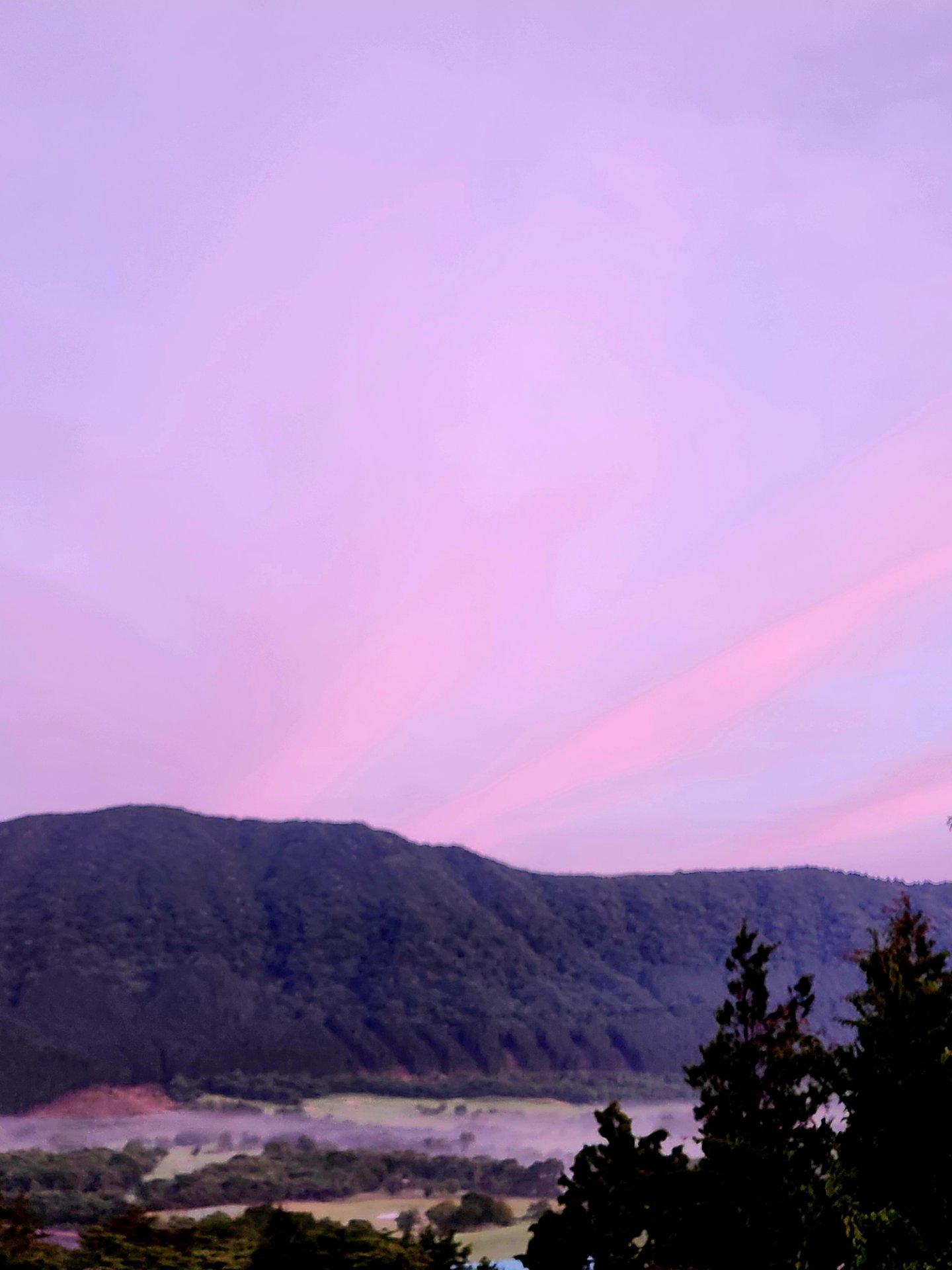 13℃ 風なし。薄い雲がピンク。ホトトギスが元気に鳴いてます。