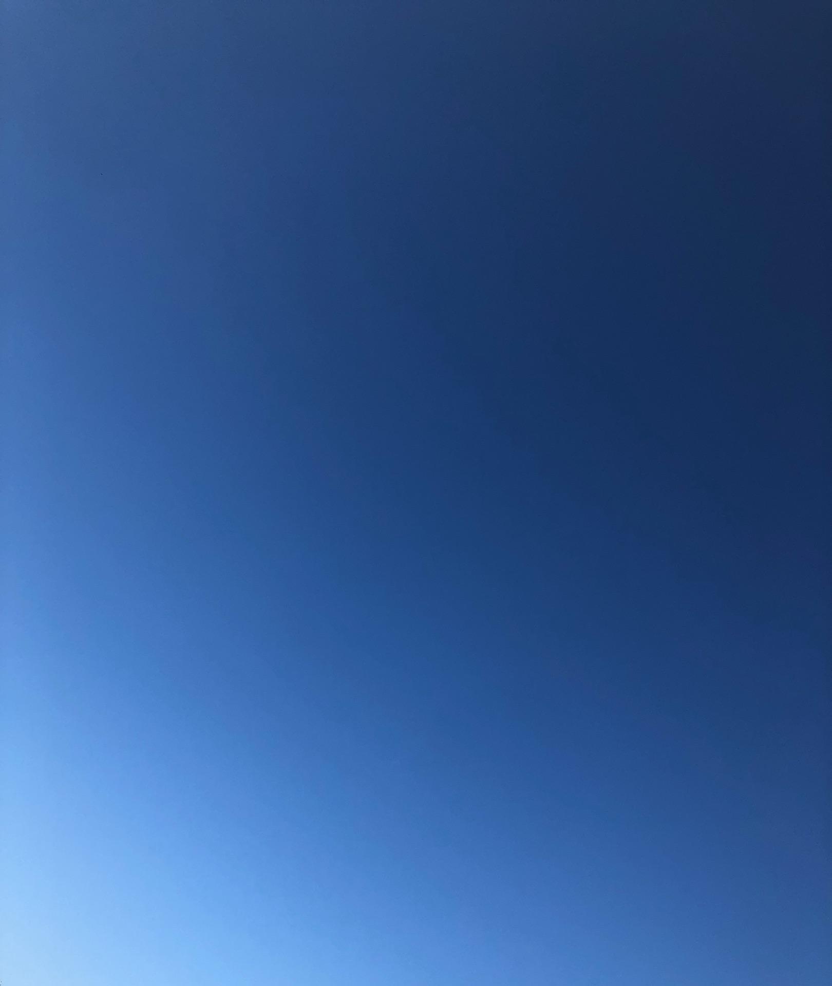 先日のオランダ戦を労うかのようなサムライブルー。気持ちのよい風が吹き抜ける朝です。今日も皆様が笑顔で過ごせますように