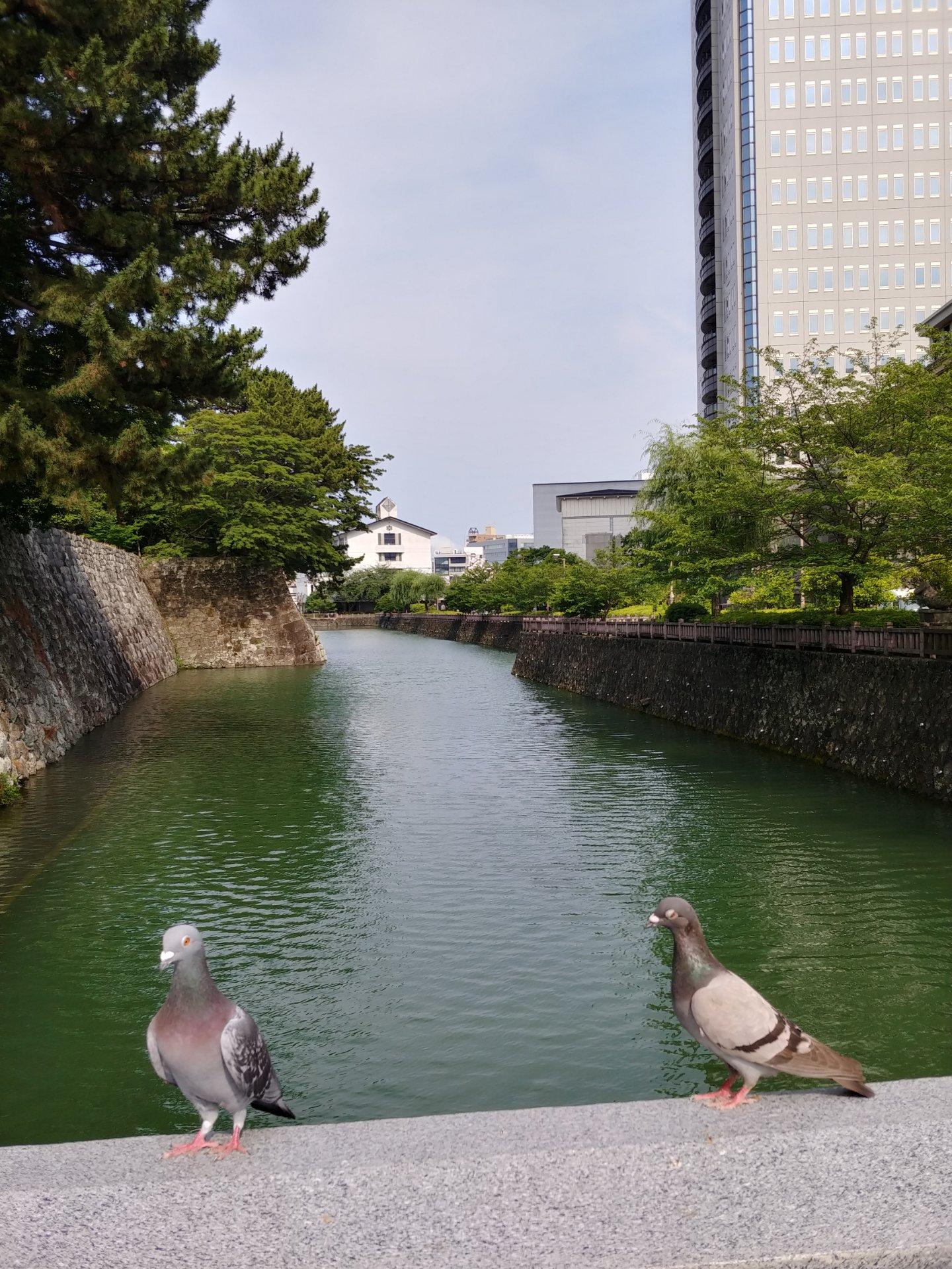 3時半柔らかい日差　梅雨も中休み