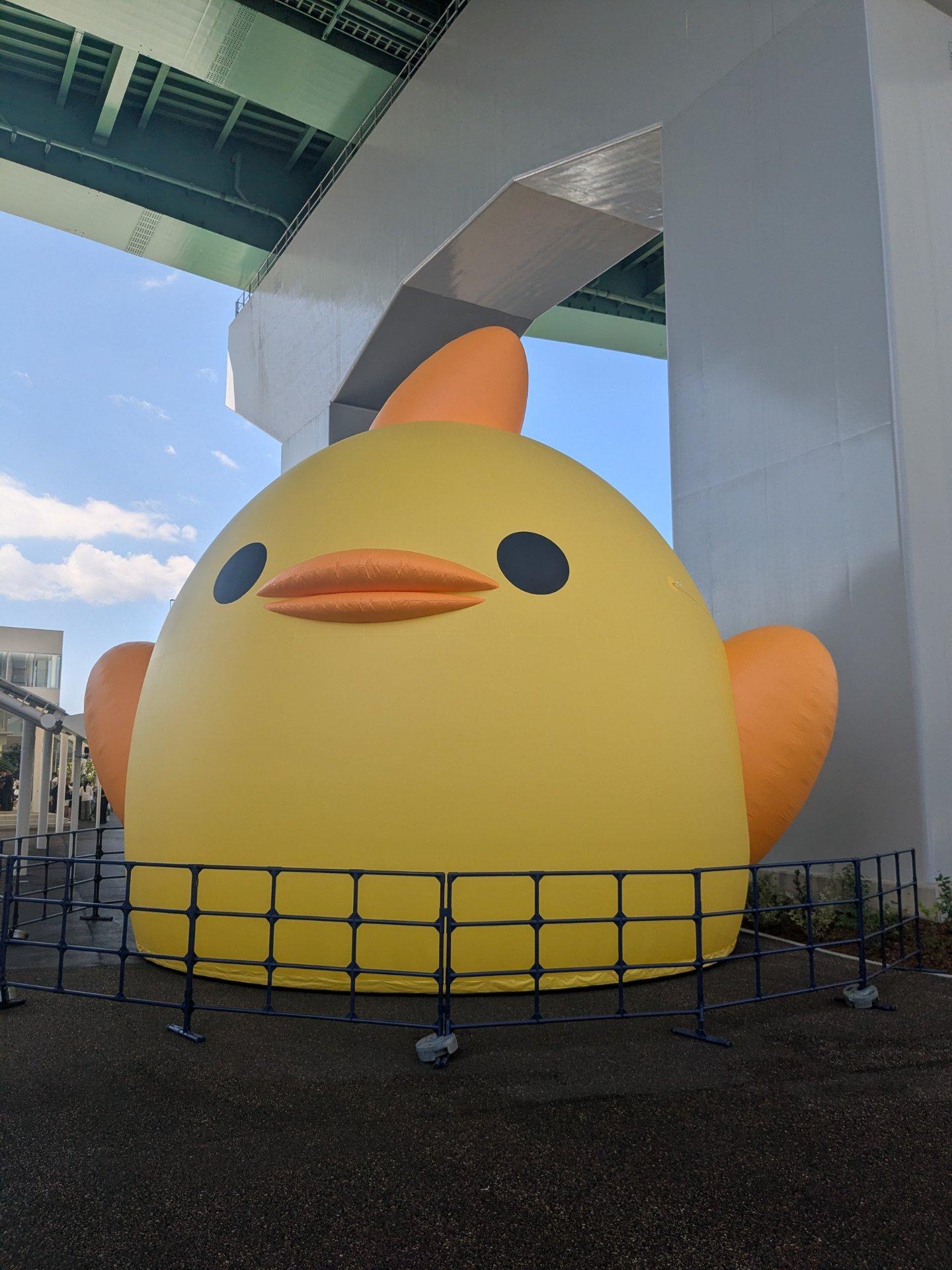 ᶘｲ^⇁^;ﾀミ うぉ...でっか...　ʃcʃ|.Ō ᴗ Ō)ʅ ぴよりん100万ぴよ(個)相当のサイズだそうです