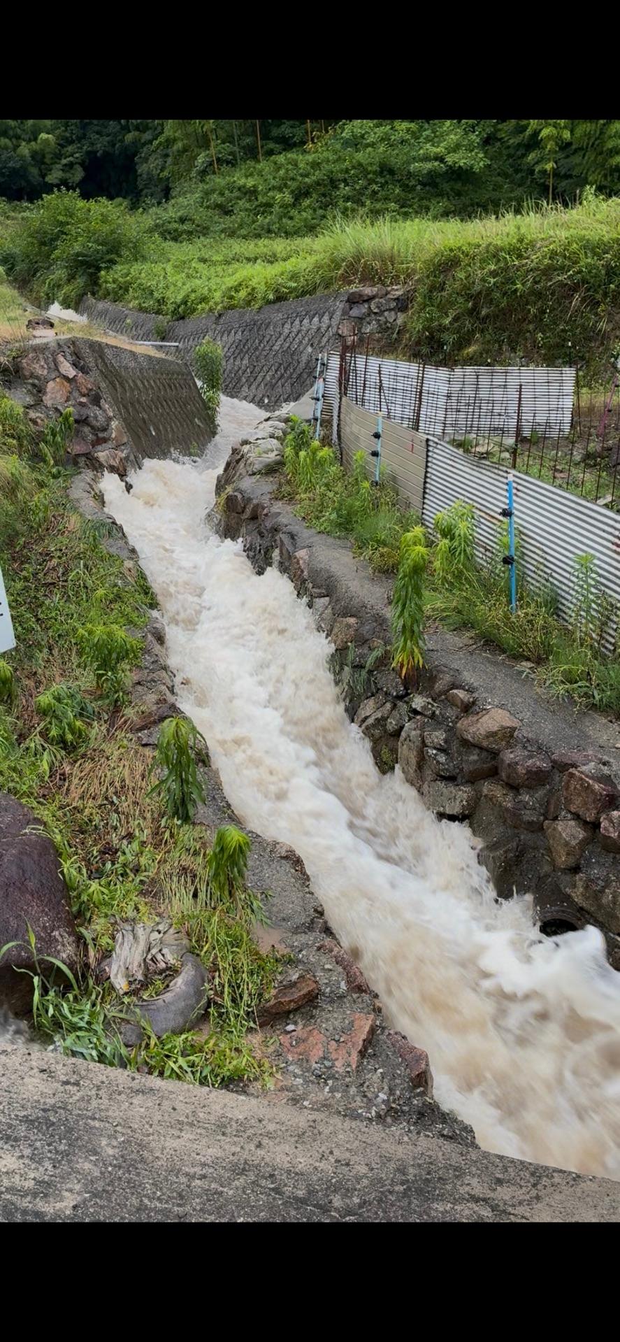 雨は弱くなってきたけど、近所の川やばし