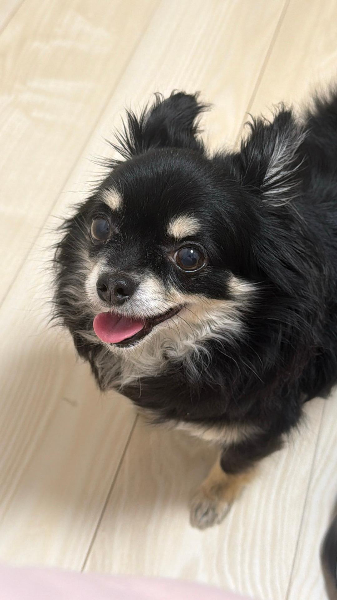 降りそうで降っていないそうです