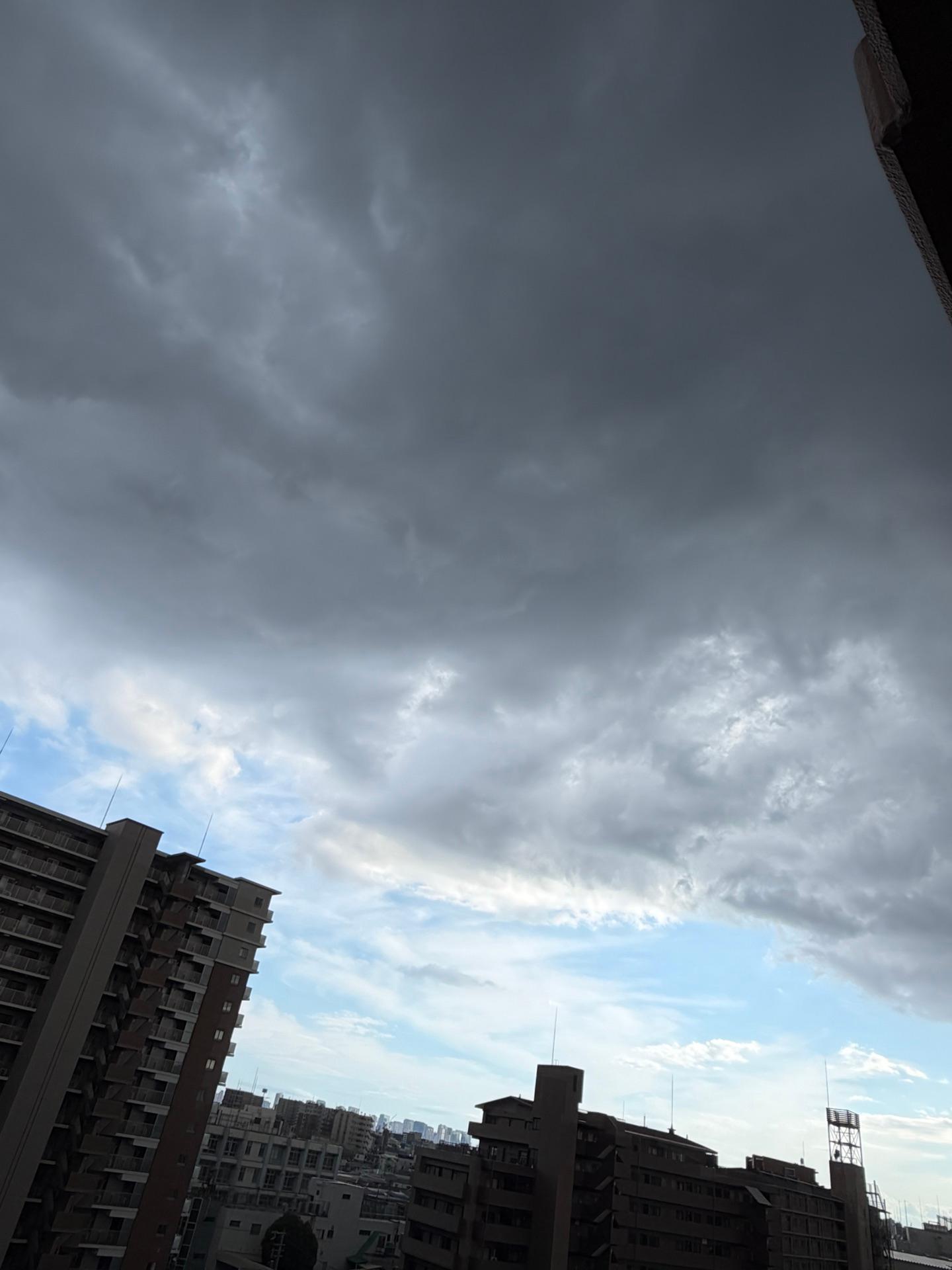 北から黒い雲が迫ってきた！すぐに降ってきそう！