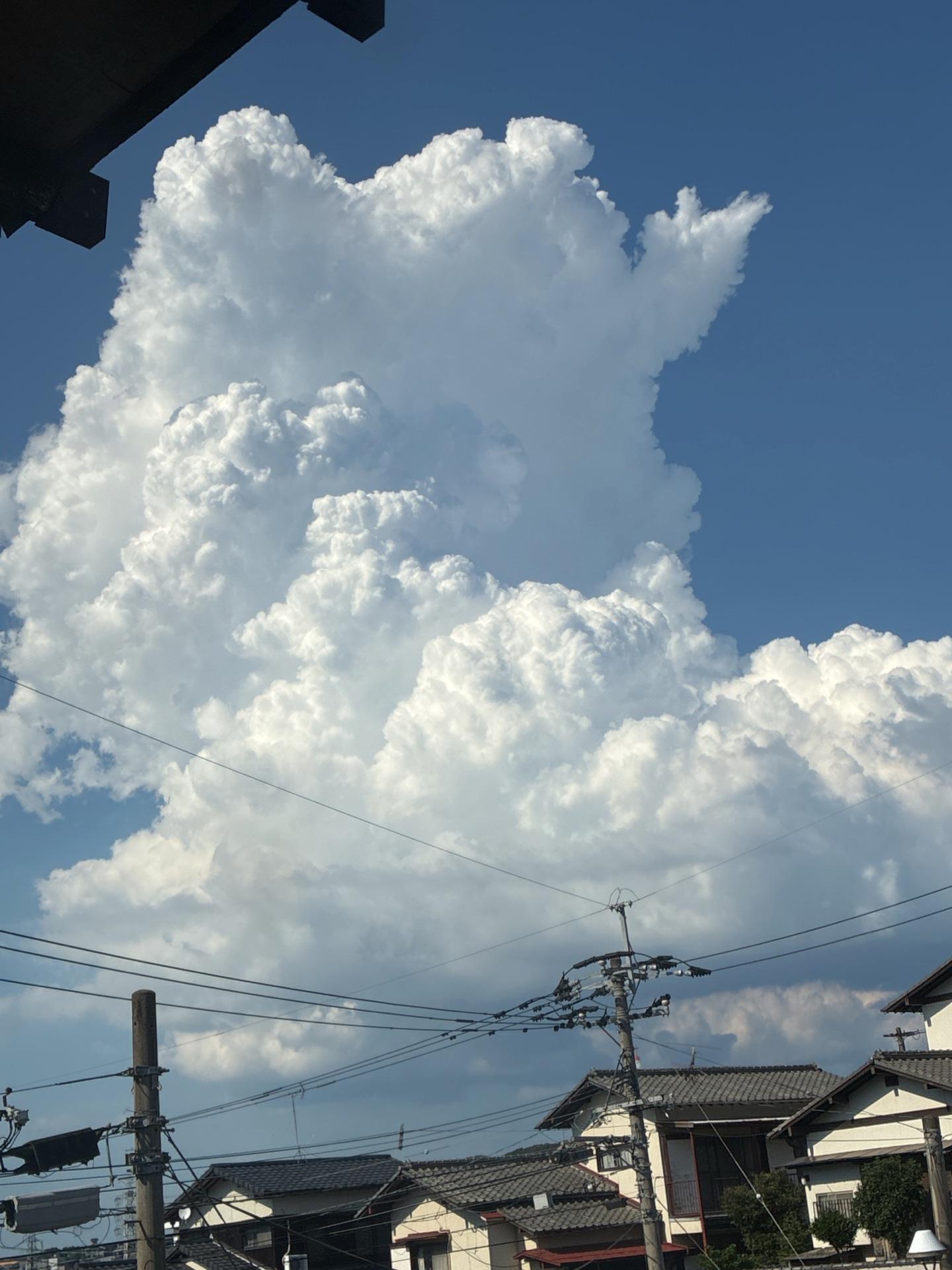 梅雨明けの空とイベントと涼むペットたちと