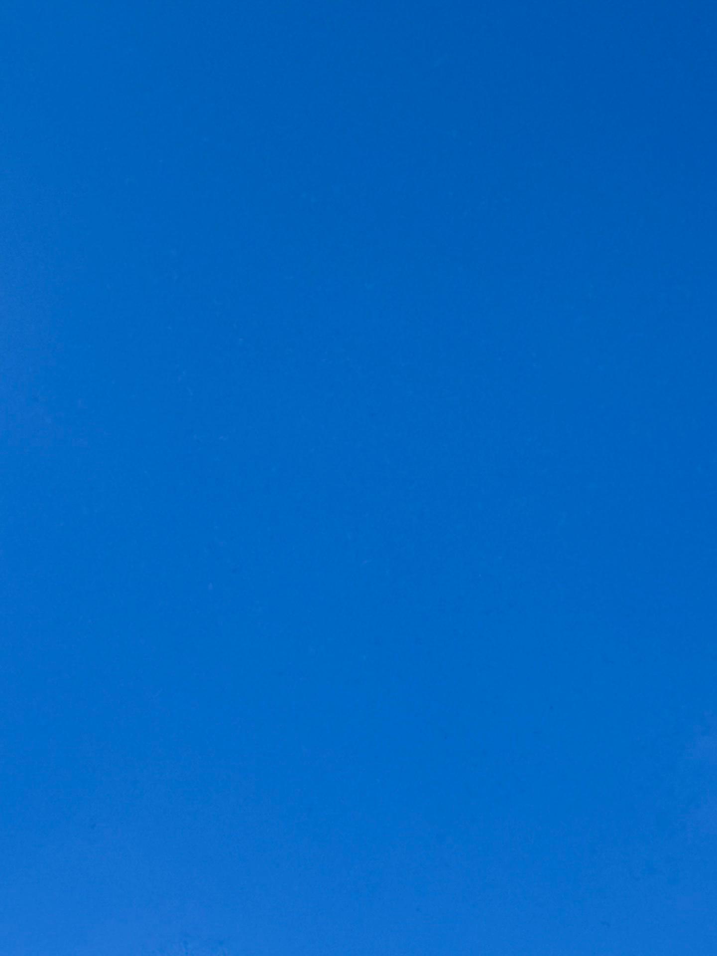 ザッ！沖縄の夏