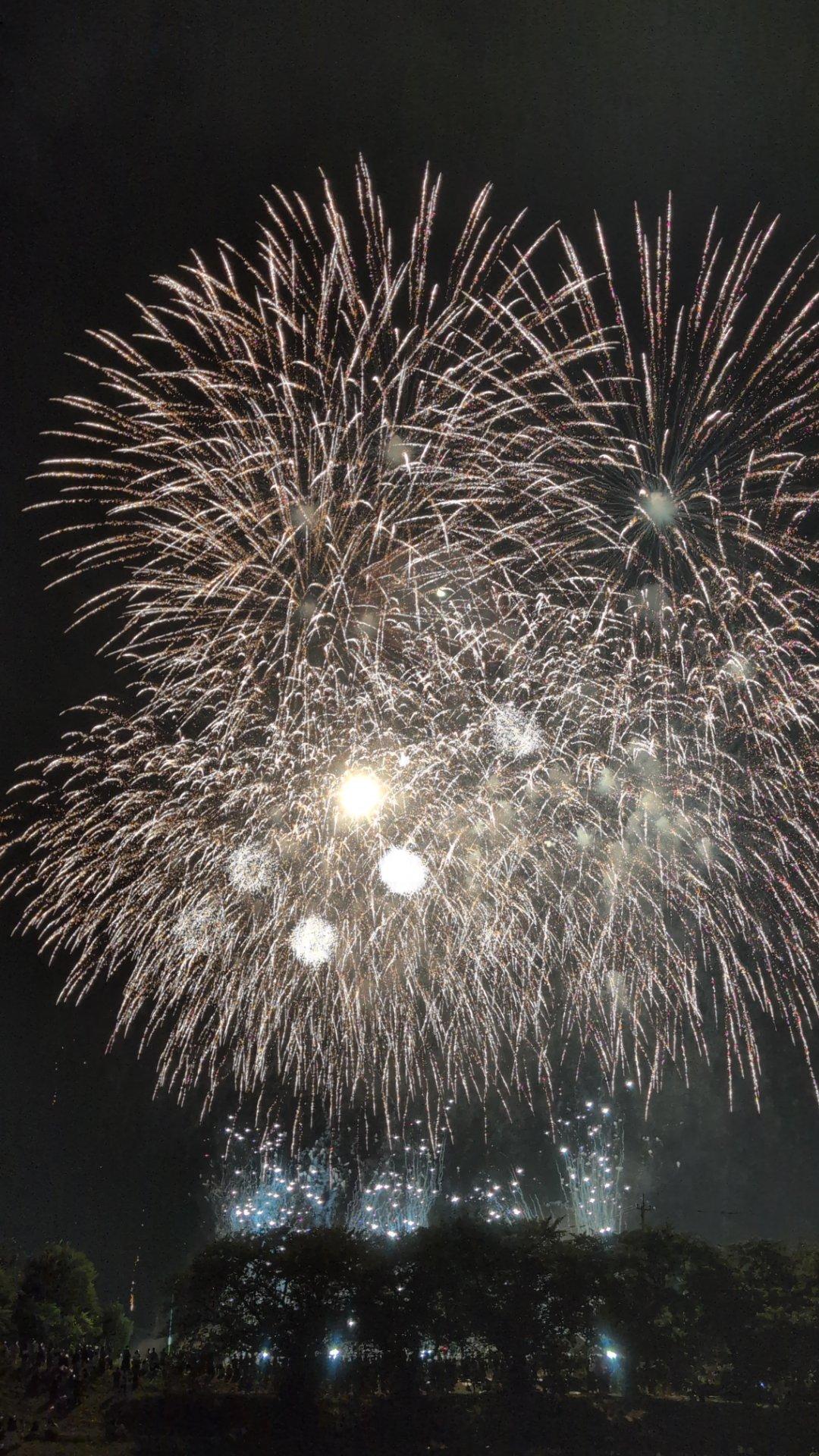 ＜花火＞見た「大和田花火大会」