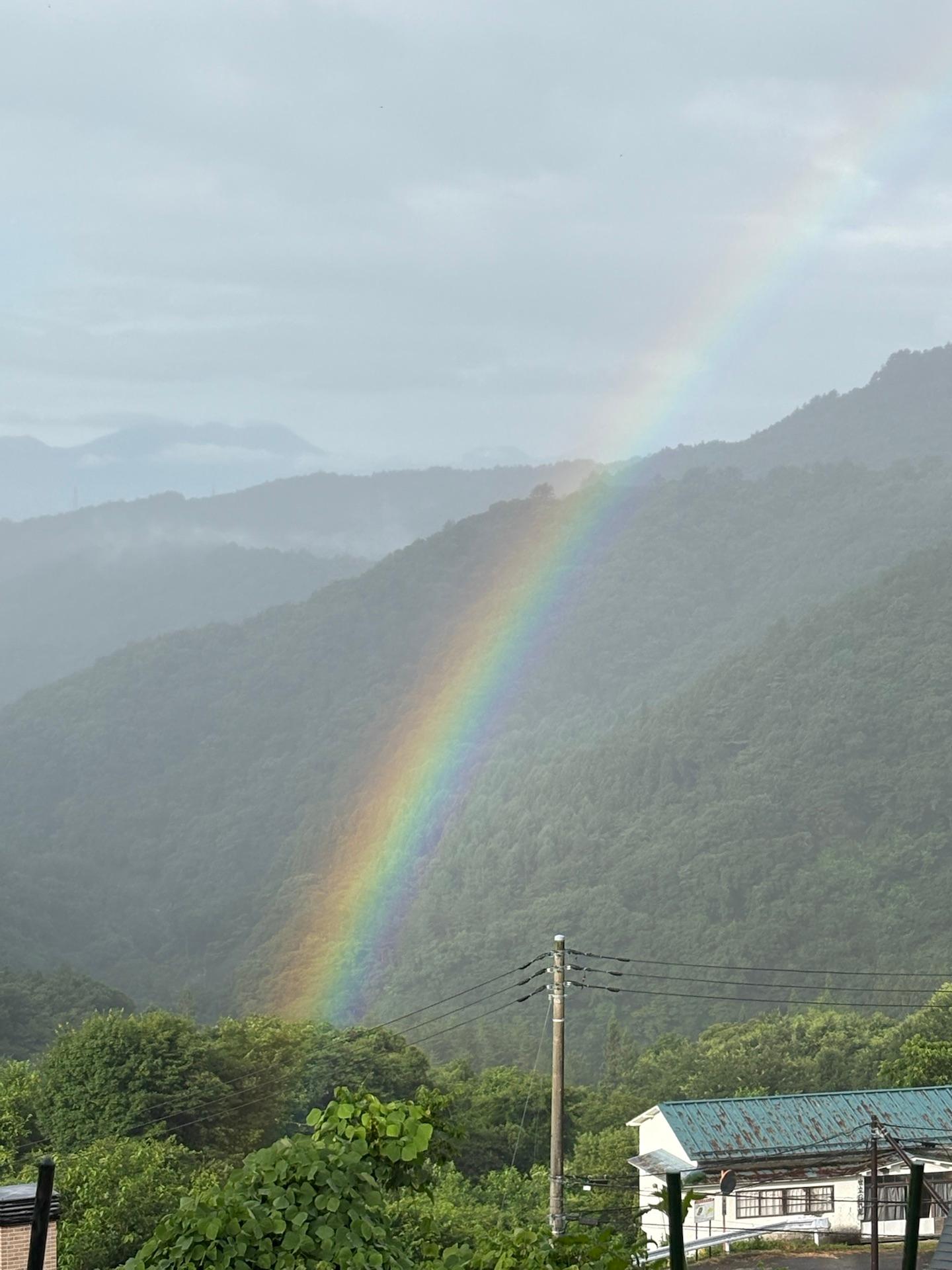 ＜いまの天気＞雨「皆さん おはようございます☔️🐸☘️💕今日は雨も降っているせいか､家の前で虹が🌈見えました🥰」