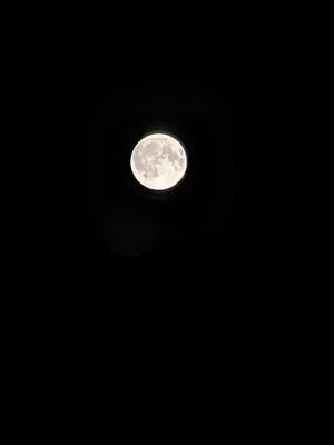 ＜いまの天気＞晴れ「今夜は満月」