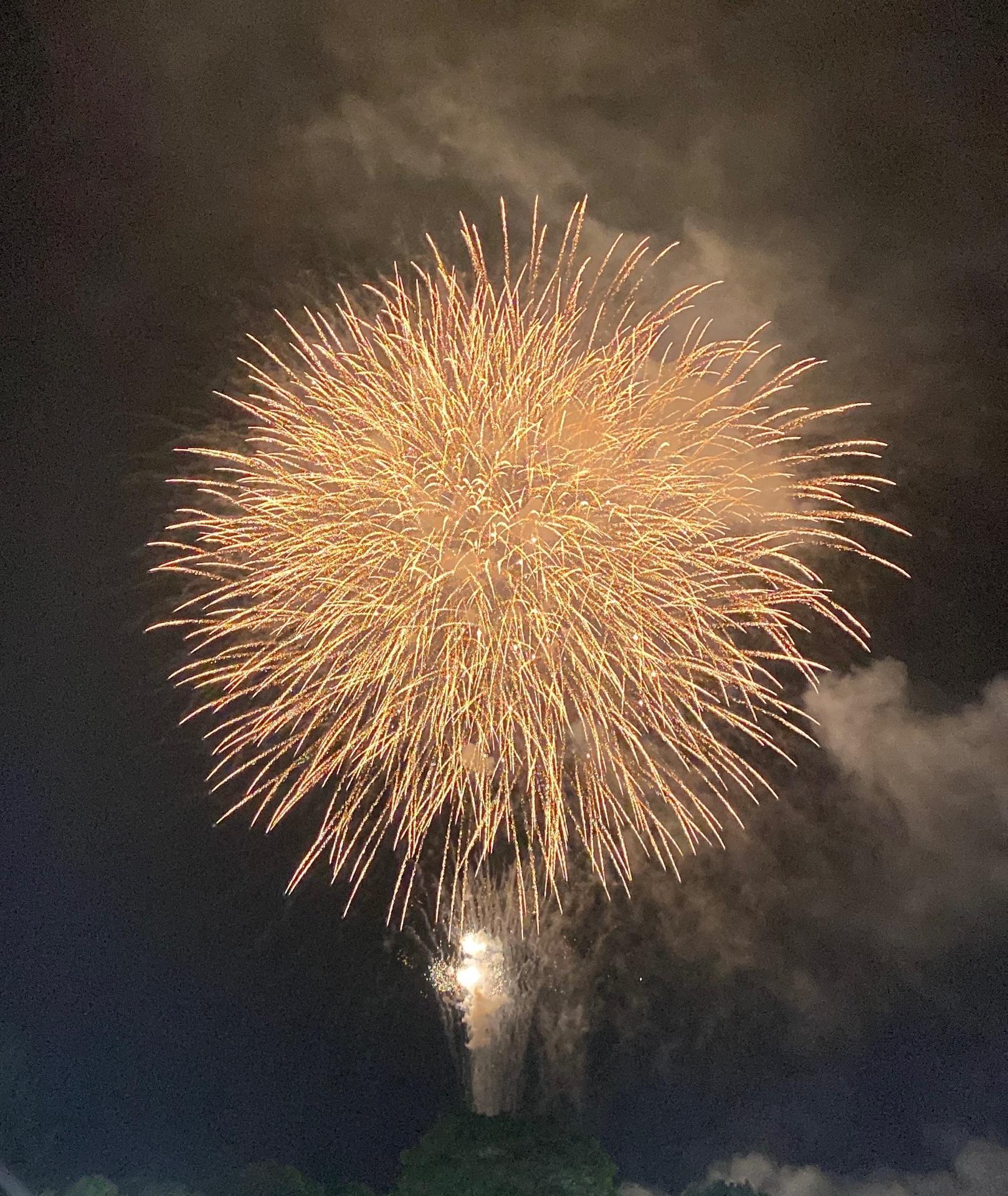 ＜花火＞見た「七瀬川自然公園ほむら祭り」