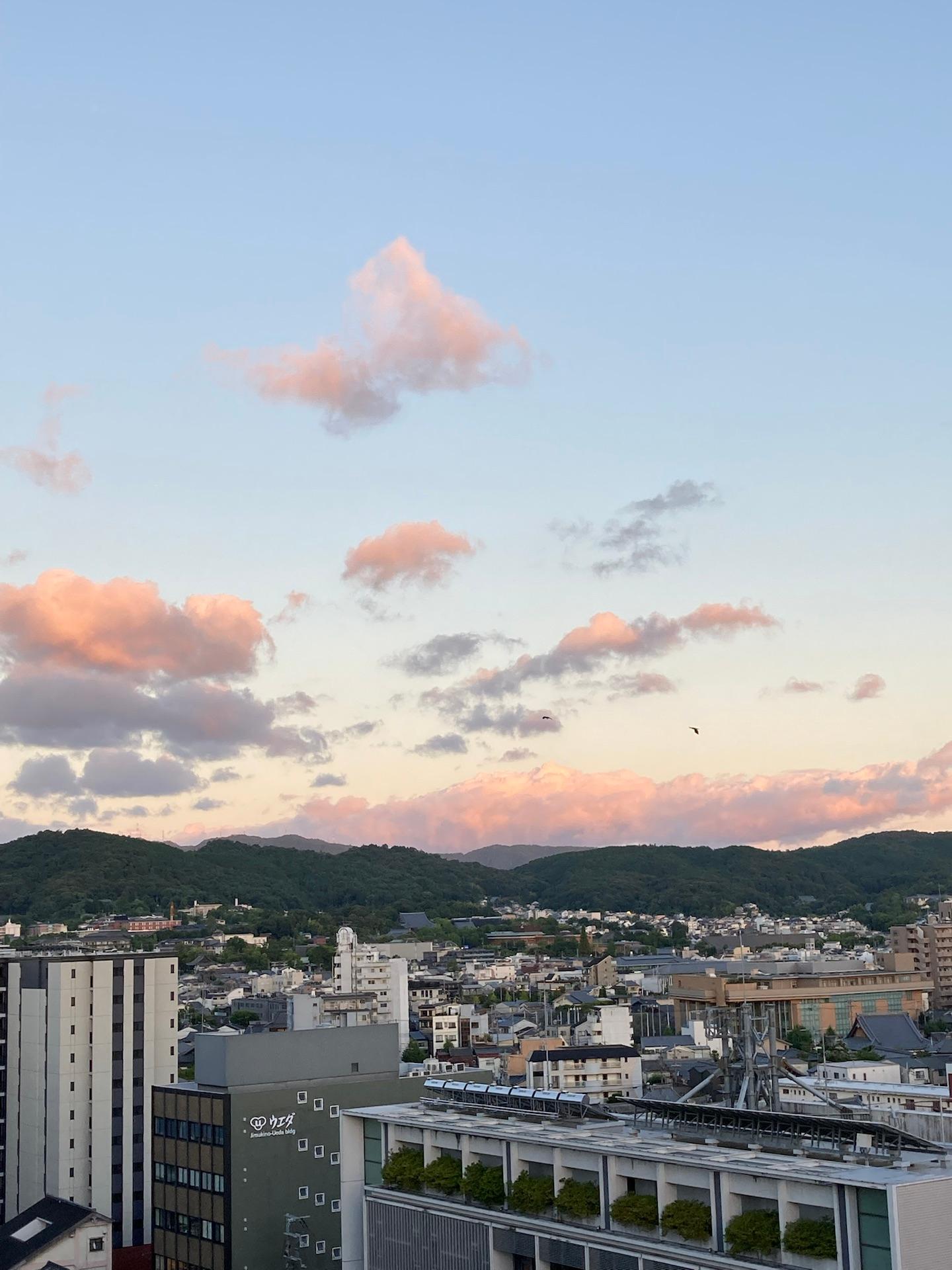 ＜いまの天気＞晴れ「東の空も夕焼け。鳥の群れがお宿へ向かって飛んでた。本日も暑い中お疲れ様でした。」