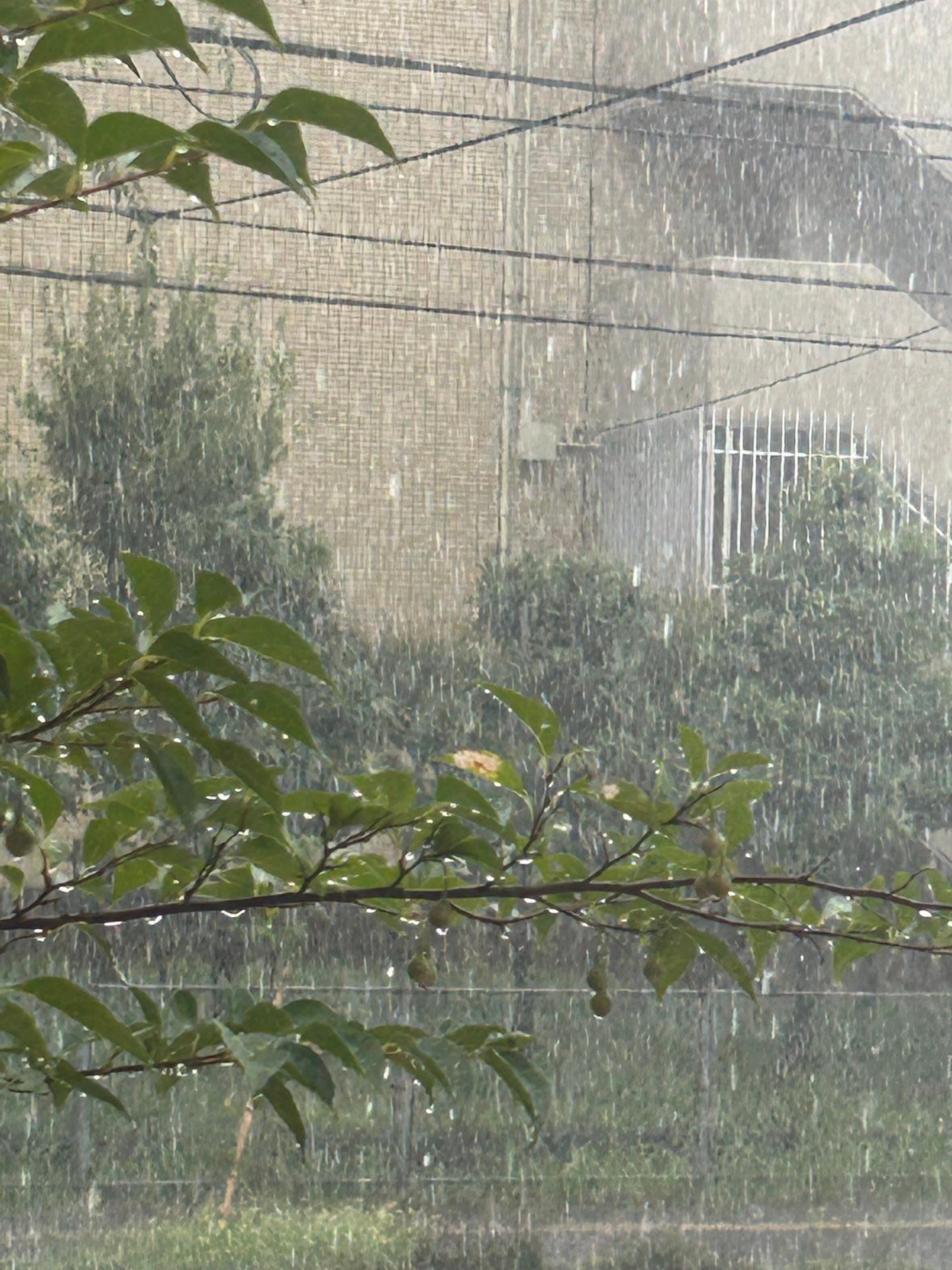 ＜いまの天気＞雨「近くに⚡️落ちた！雨も凄かった！！」