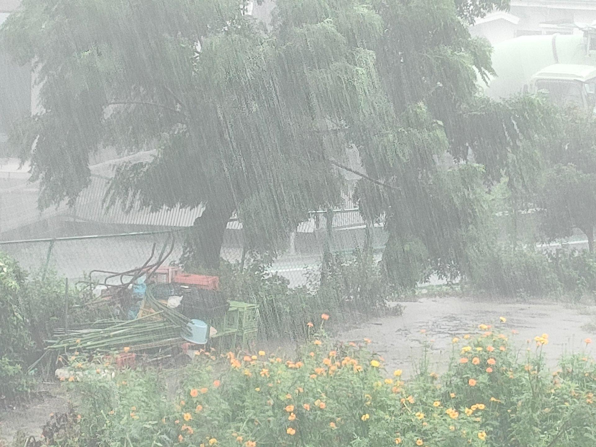 ＜いまの天気＞雨「滝のような雨に雷！近所の家も霞んでるー」