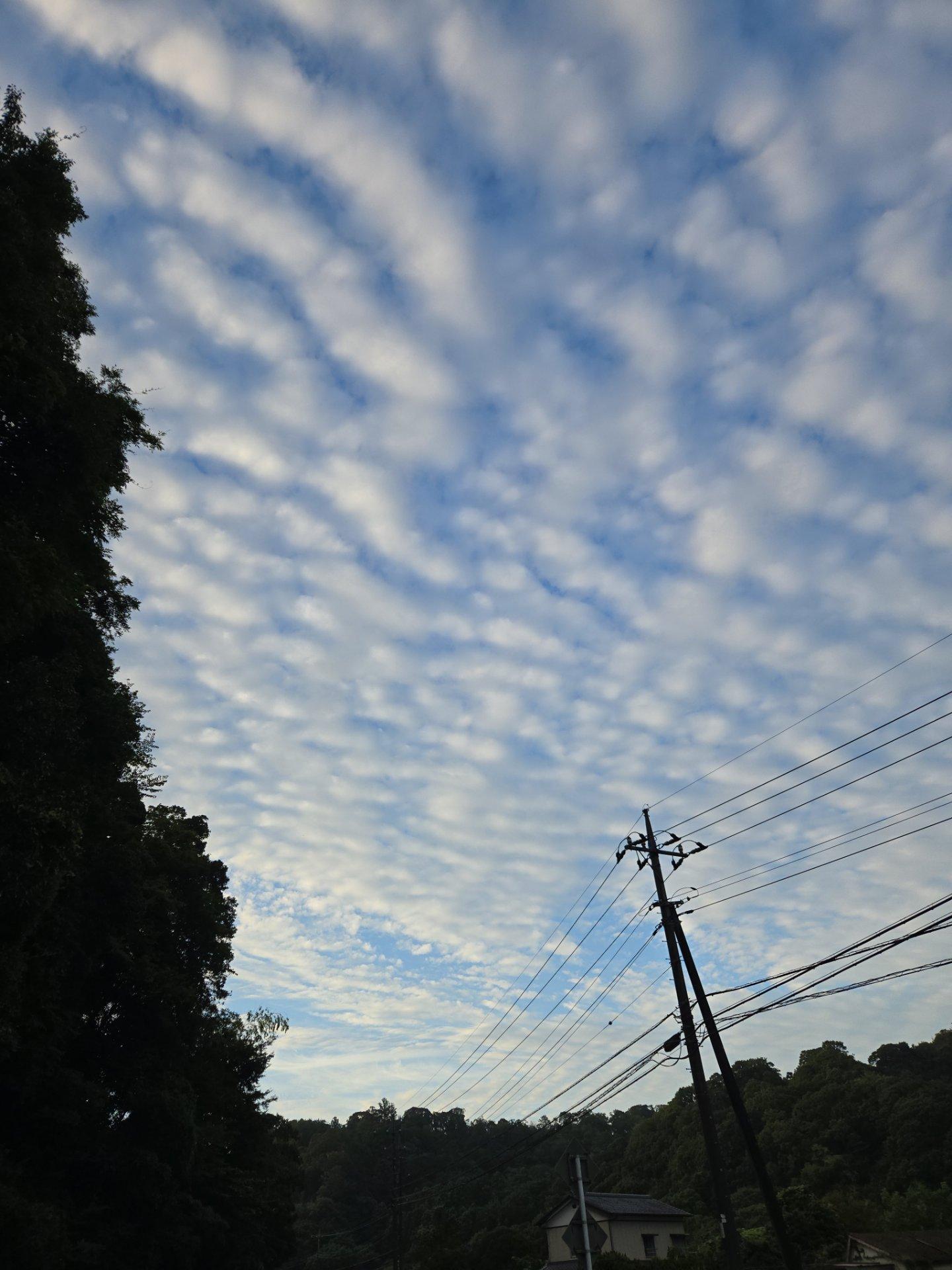 ＜いまの天気＞くもり「秋を感じさせる雲です。」