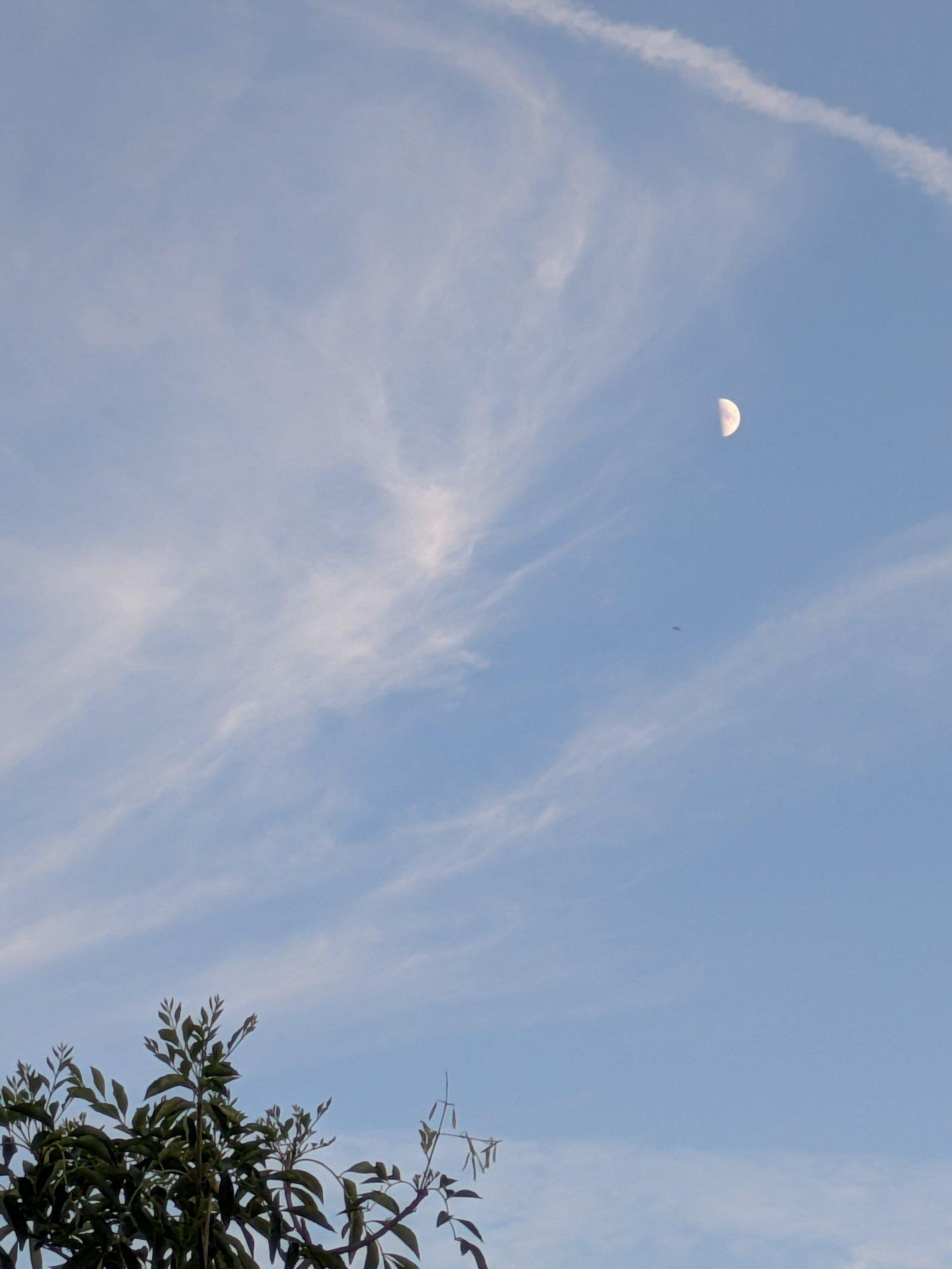 ＜いまの天気＞晴れ「暮れゆくひととき。風が流れ、雲が行く。月は明るさを増し、のぼる。今日も暑さに疲れた一日だったが、秋の気配が隠れている。」