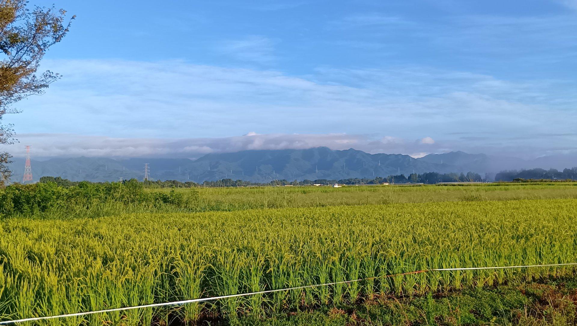 ＜いまの天気＞晴れ「雲は多いものの雨も上がり明るい空。山側は雲がいっぱい。若干蒸す。」