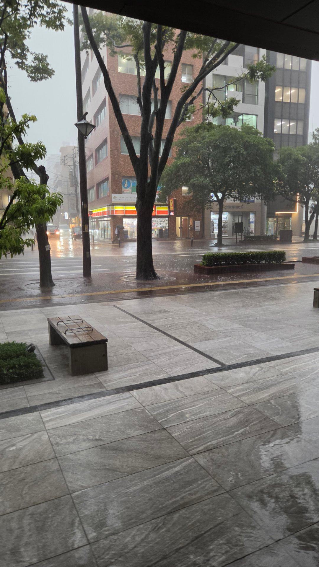 ＜いまの天気＞雨「雷雨すごすぎて傘が役に立たず雨宿り」