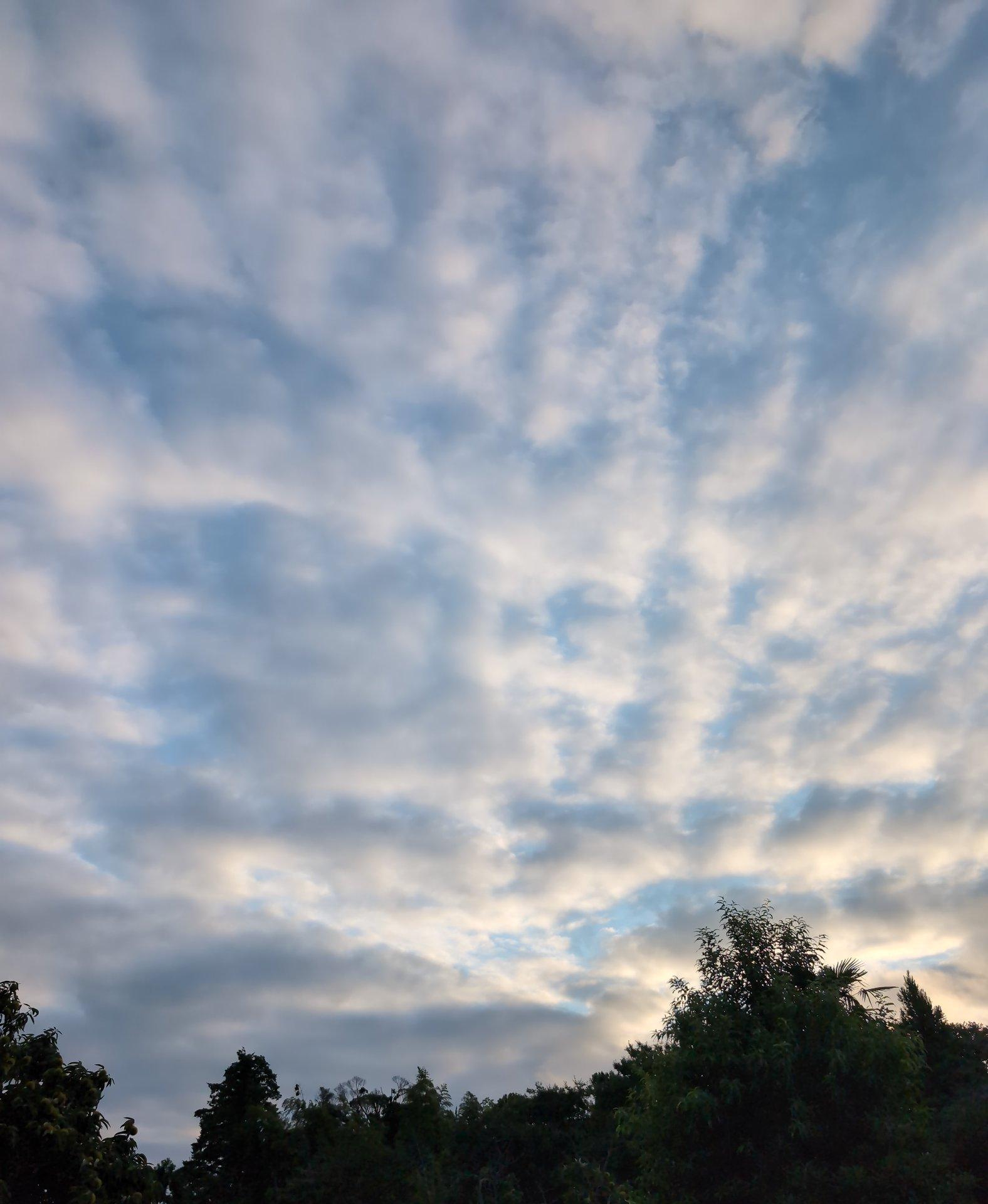＜いまの天気＞くもり「秋っぽい雲」