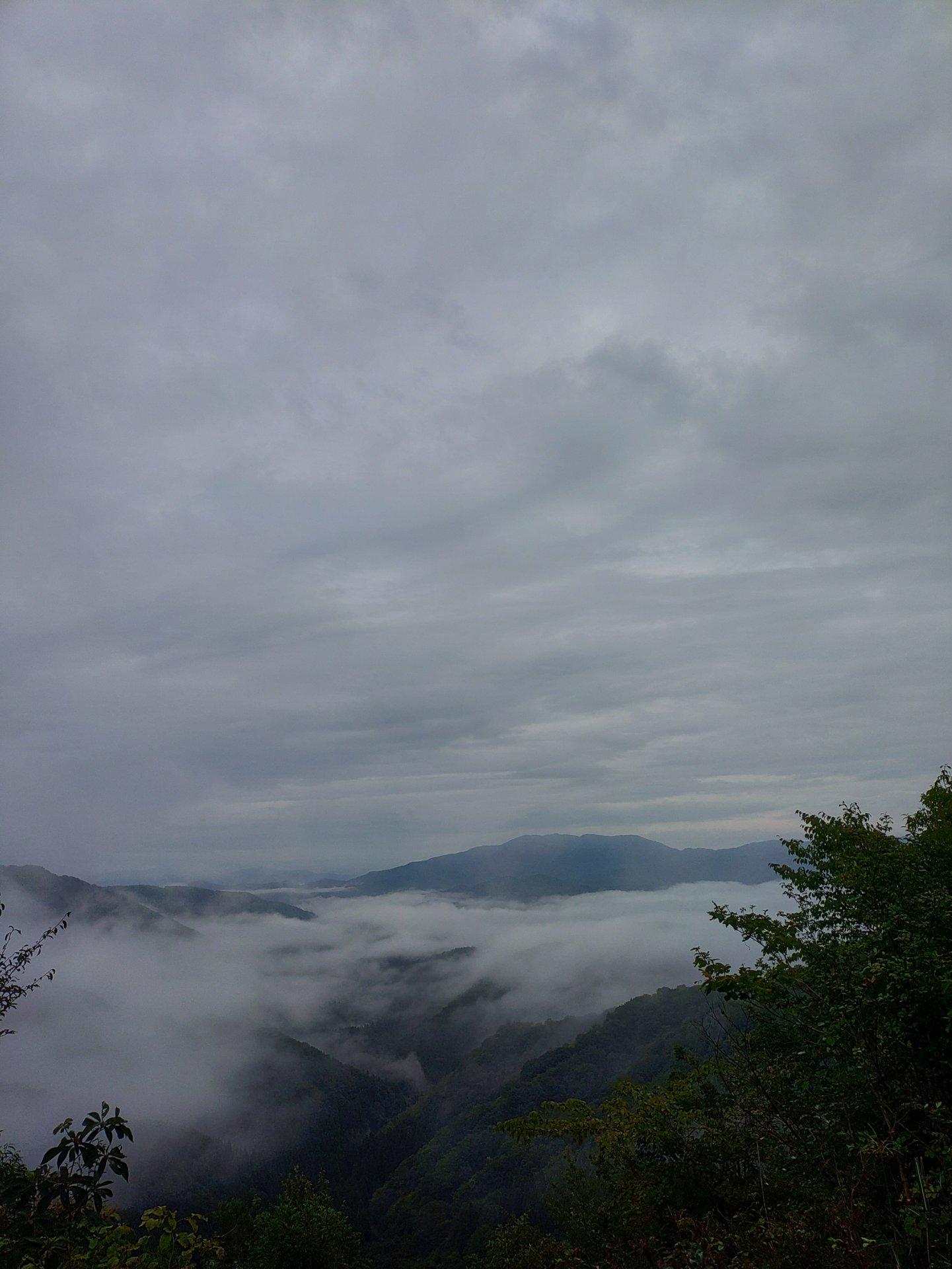 ＜いまの天気＞くもり「ここは標高およそ709メートルで、ほぼ雲の中。風は殆どありません。」