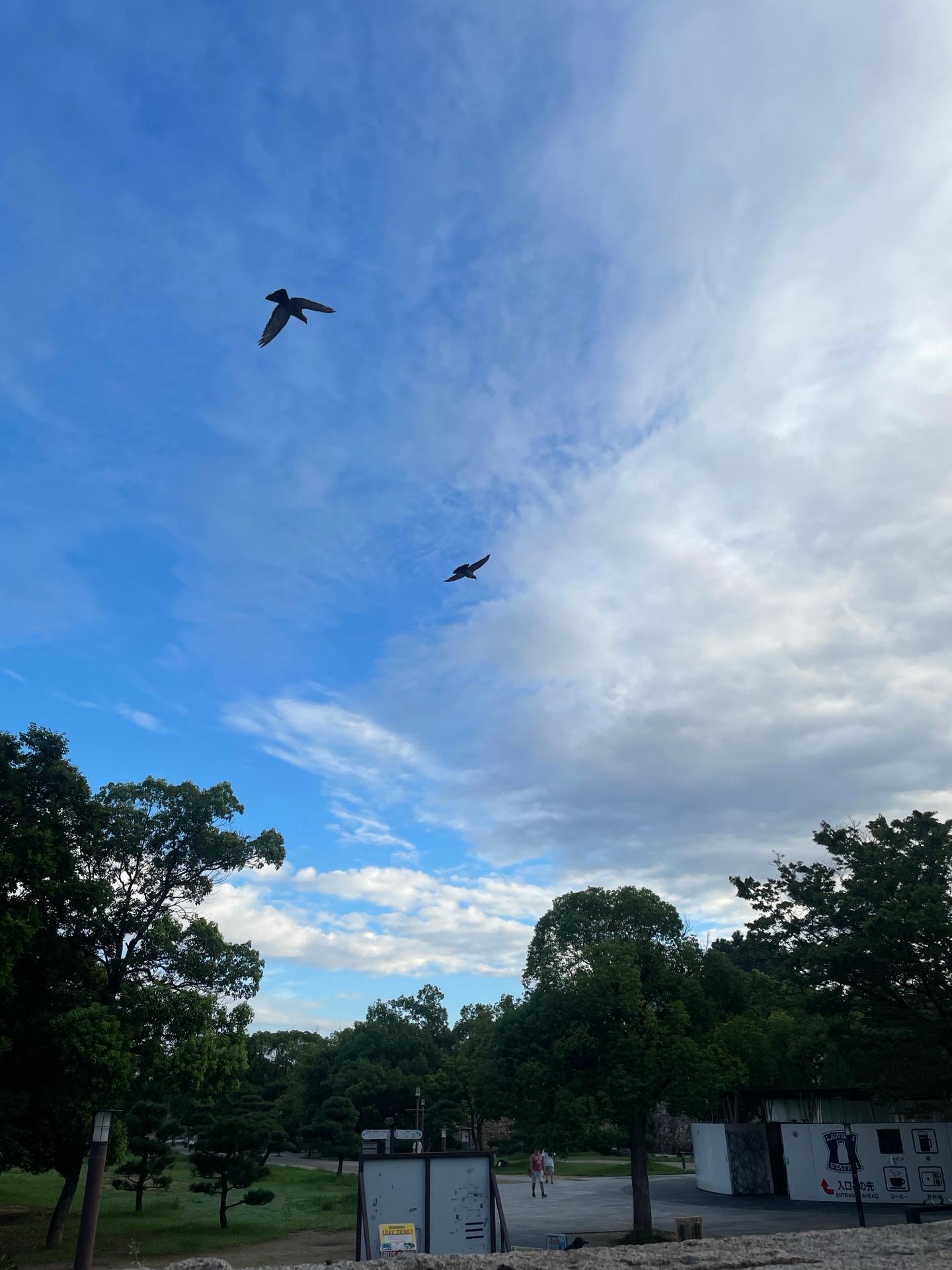＜いまの天気＞晴れ「雲多めの晴れ⛅️」