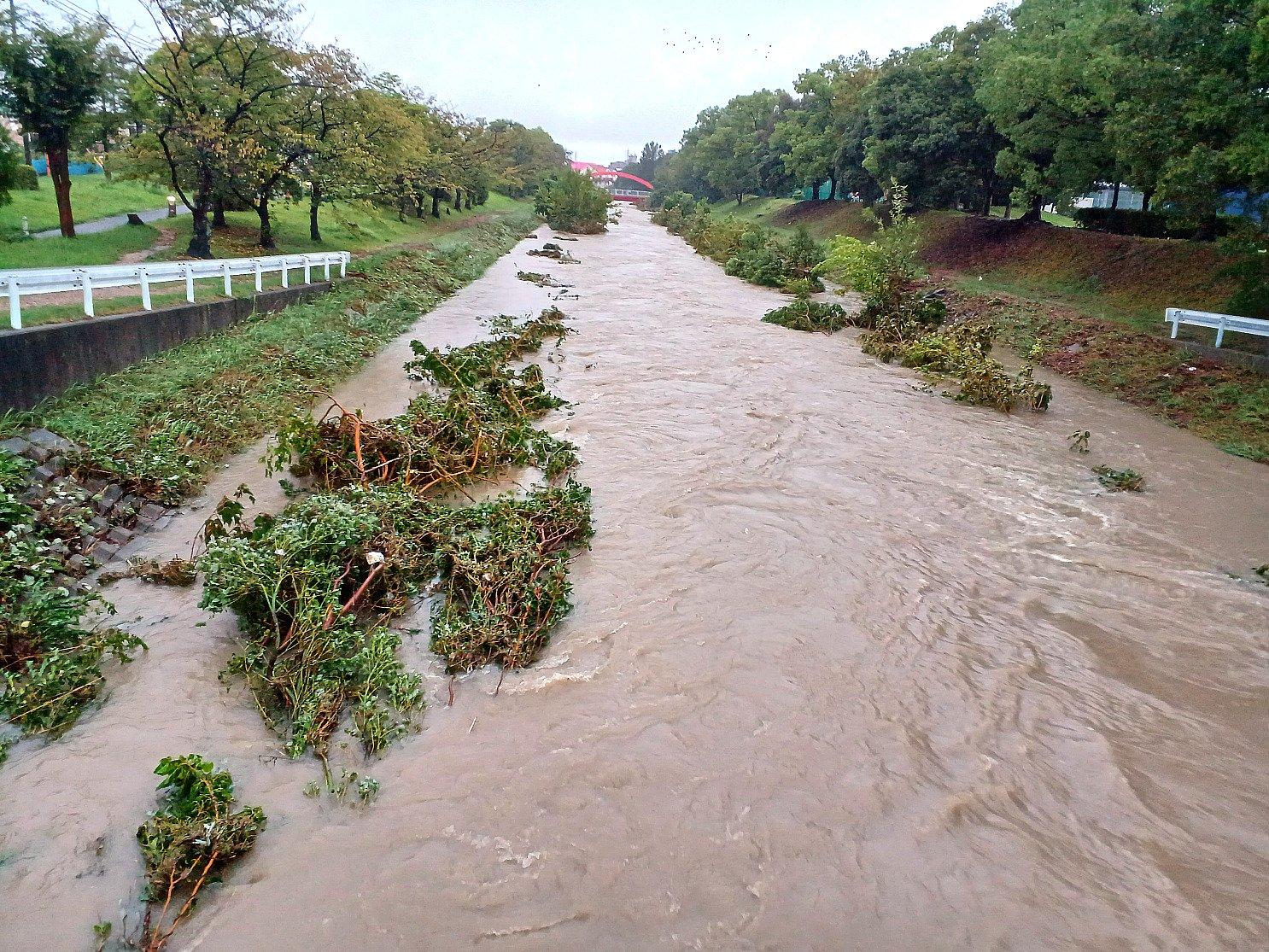＜いまの天気＞雨「朝宮公園の橋から下流を望むあと2mほどで氾濫しそうだ。」