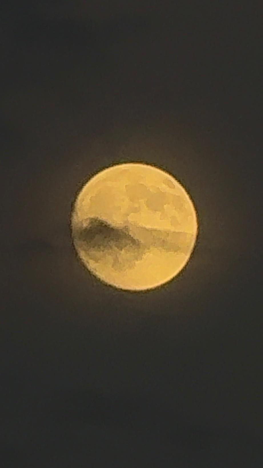 ＜十五夜＞写真を撮る「薄雲がかかっているが今のうちに撮りました」