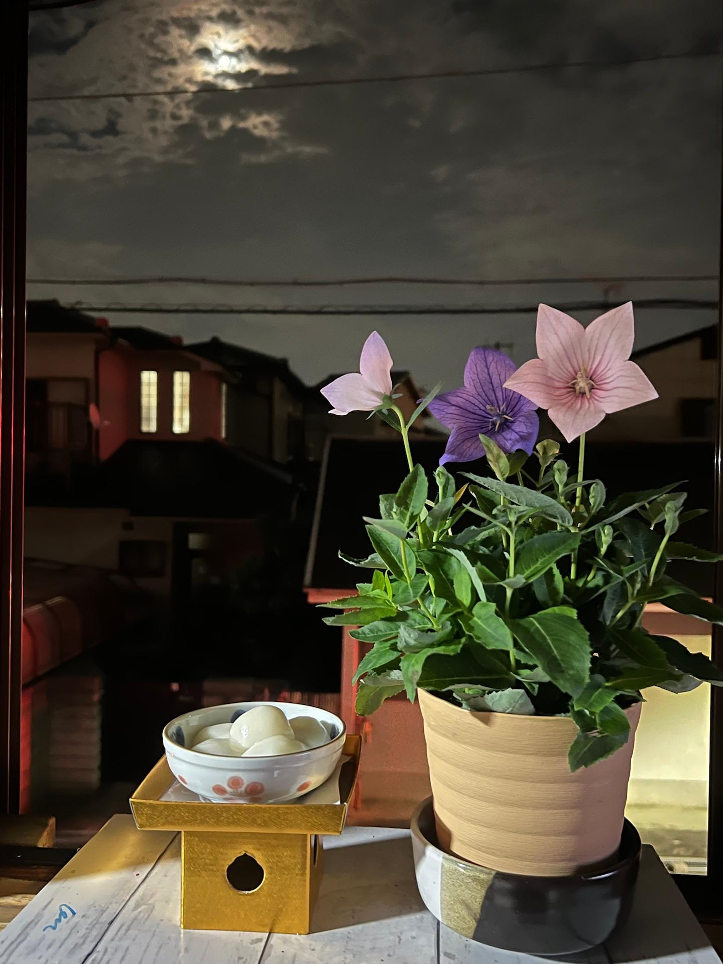 ＜いまの天気＞くもり「お月様ちょこっとだけでした」