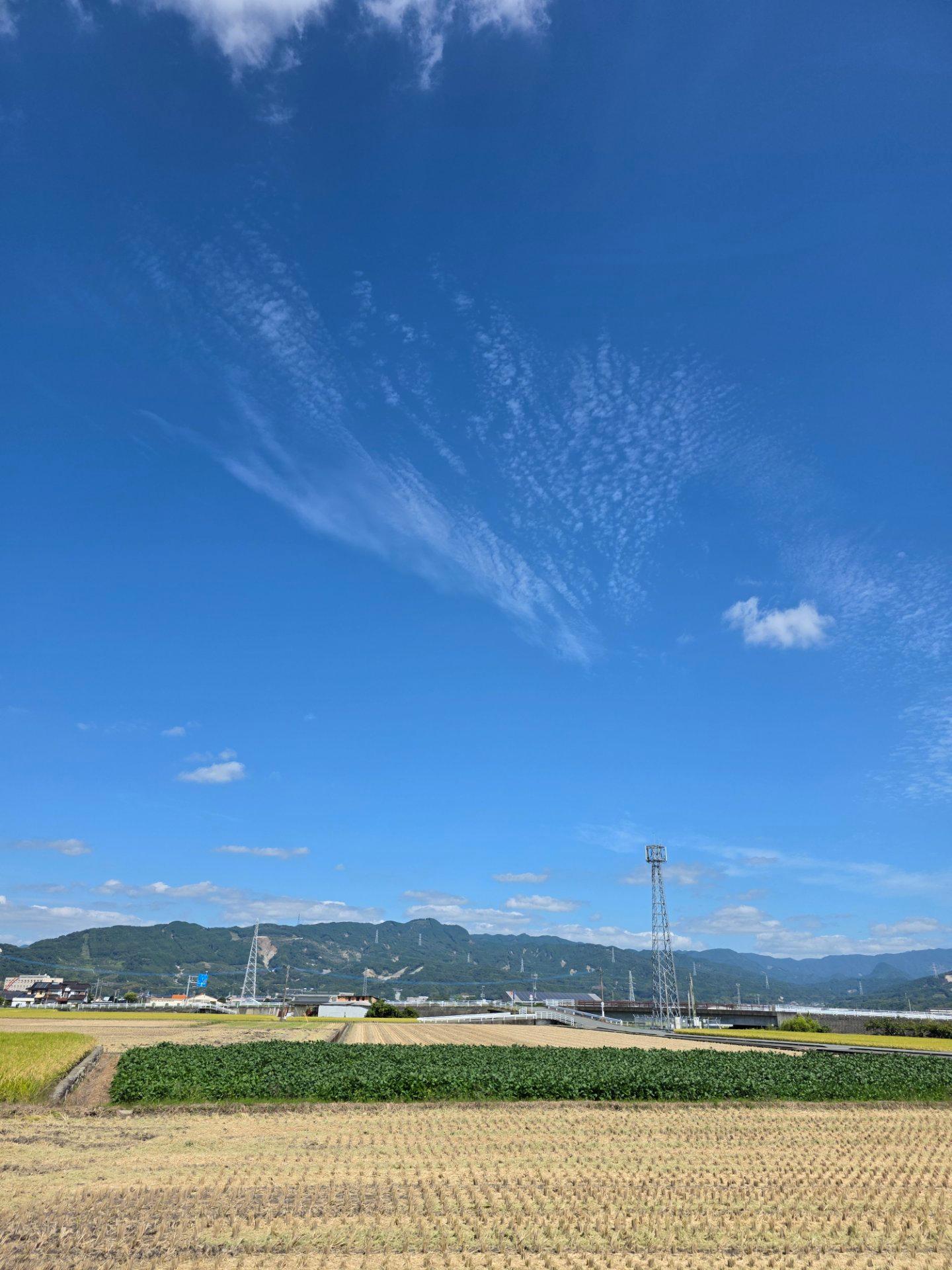 秋晴れと虹と秋の彩りと